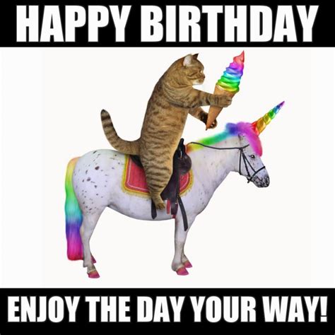 funny hilarious happy birthday meme